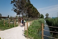 Rezort Lino Delle Fate, Bibione